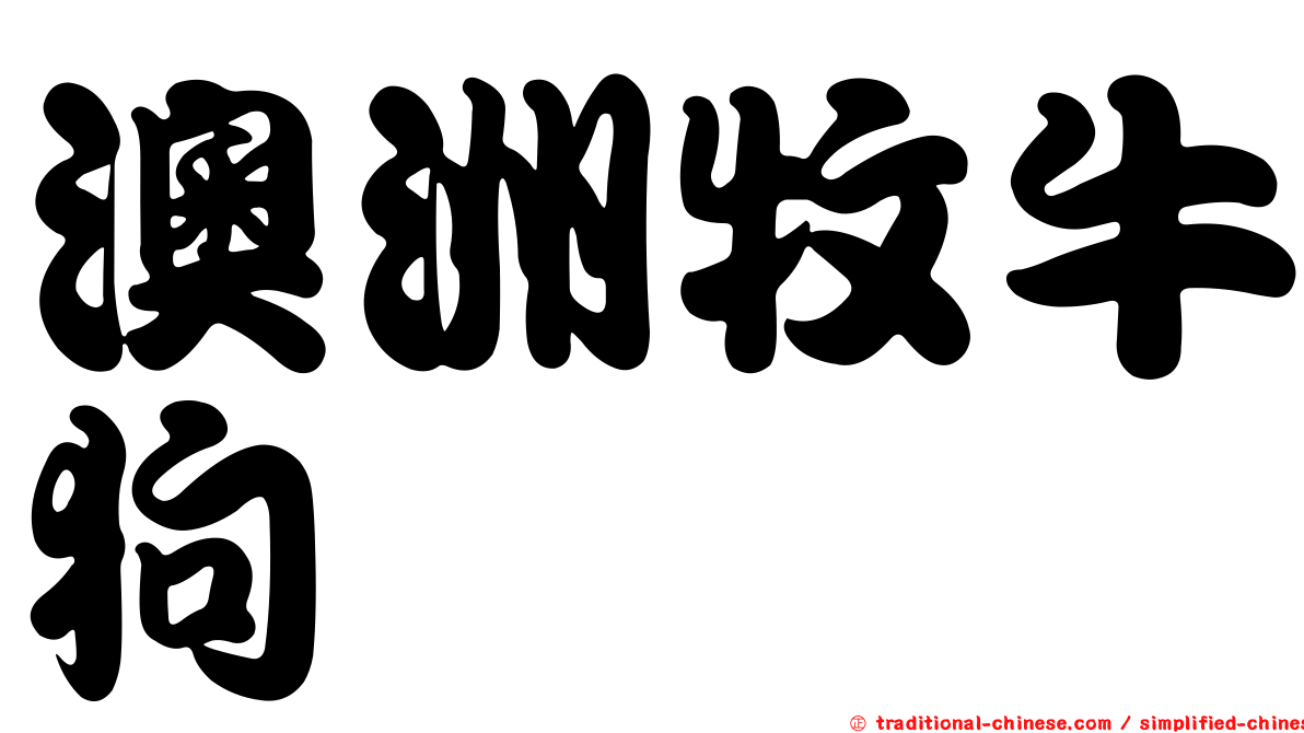 澳洲牧牛狗