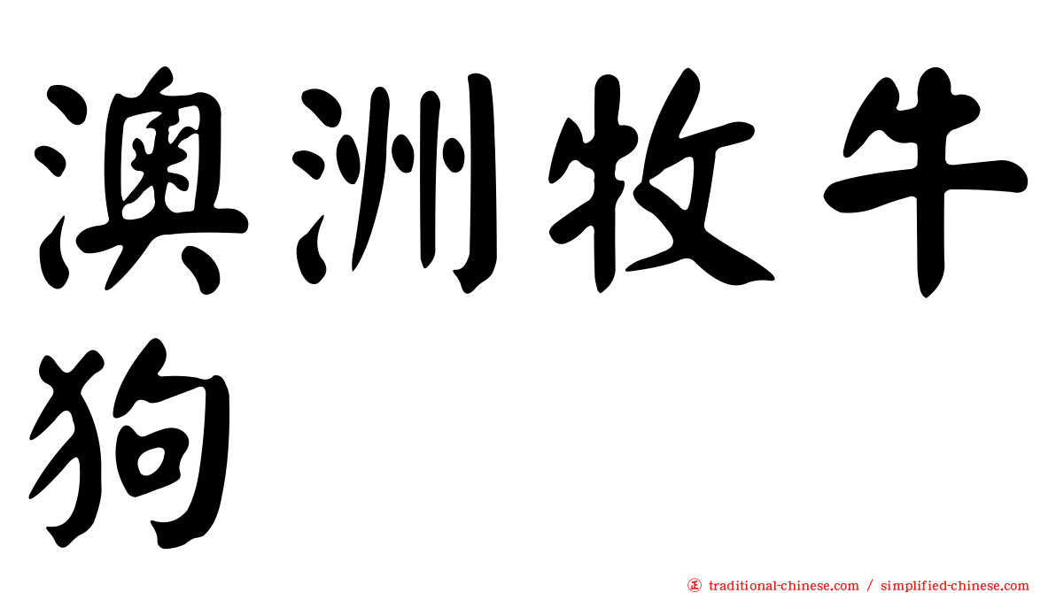 澳洲牧牛狗