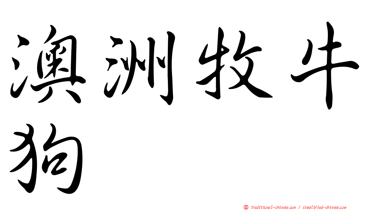 澳洲牧牛狗
