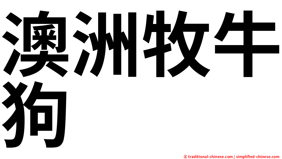 澳洲牧牛狗