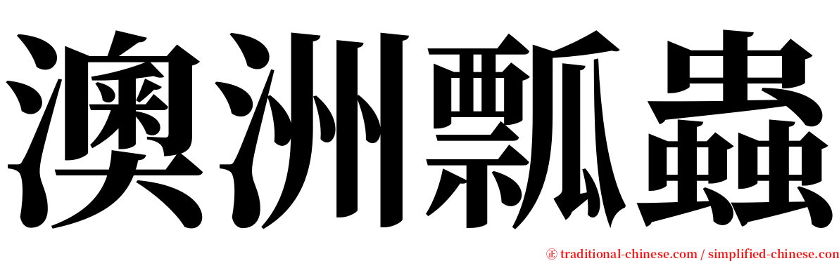 澳洲瓢蟲 serif font