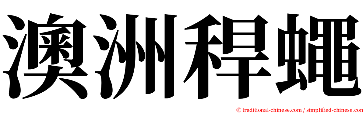 澳洲稈蠅 serif font