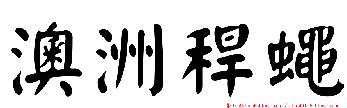 澳洲稈蠅