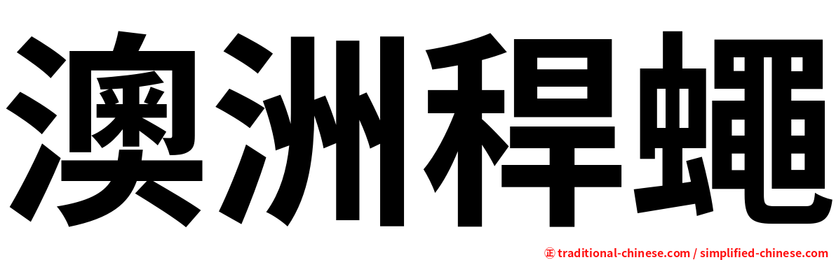 澳洲稈蠅
