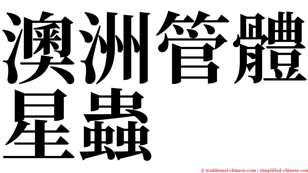 澳洲管體星蟲 serif font