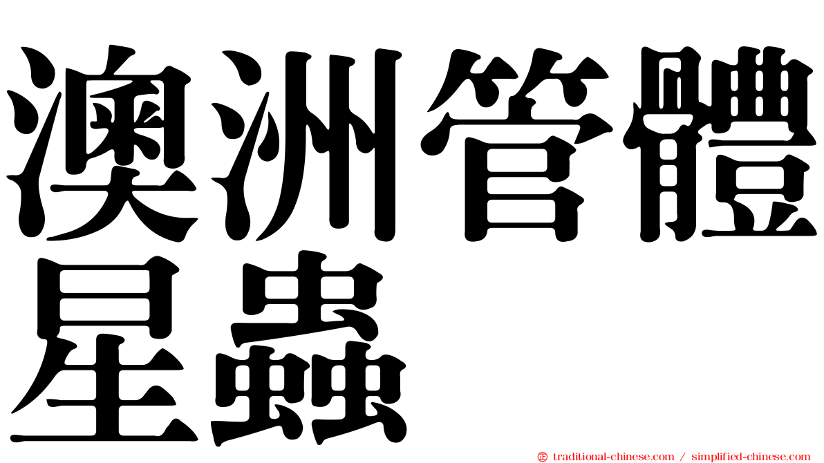 澳洲管體星蟲