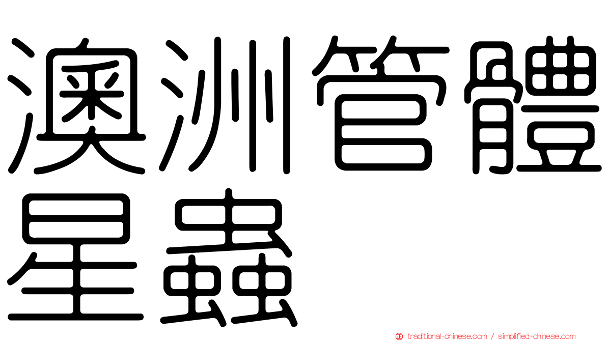 澳洲管體星蟲