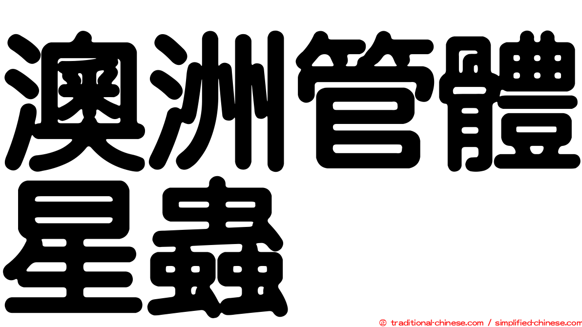 澳洲管體星蟲