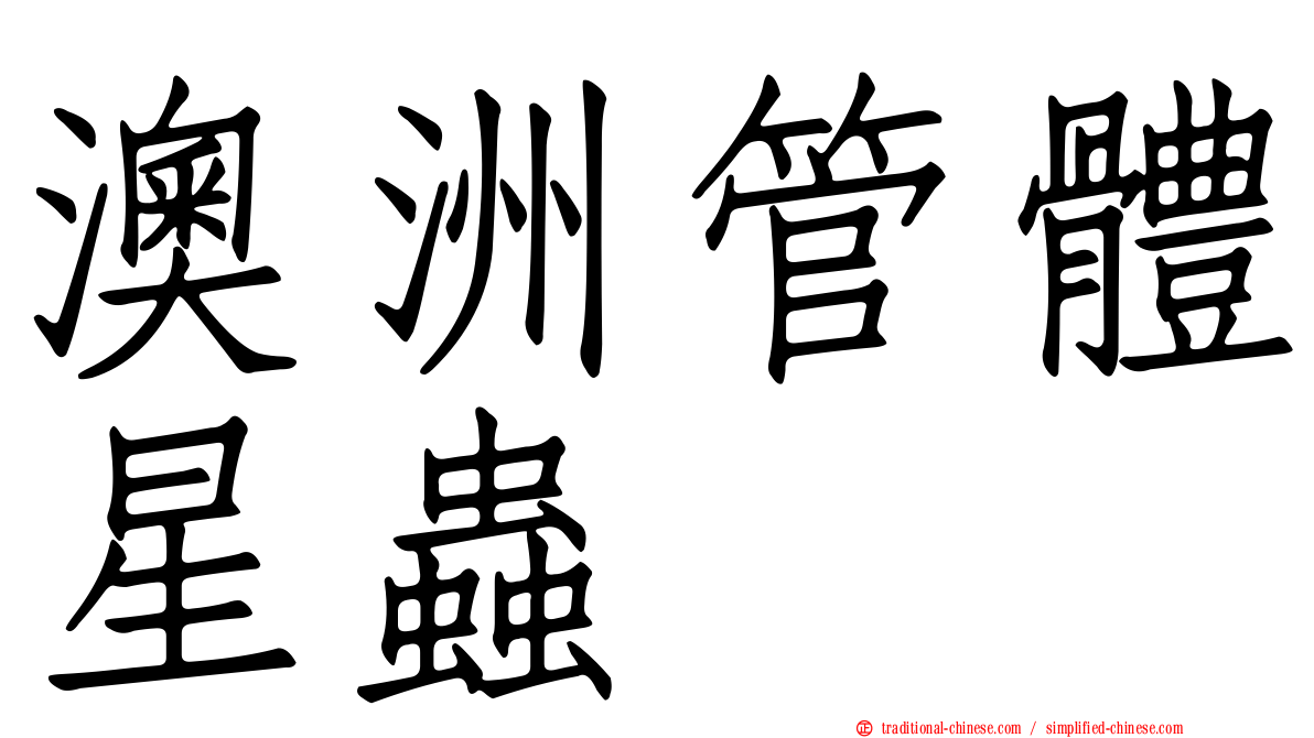 澳洲管體星蟲
