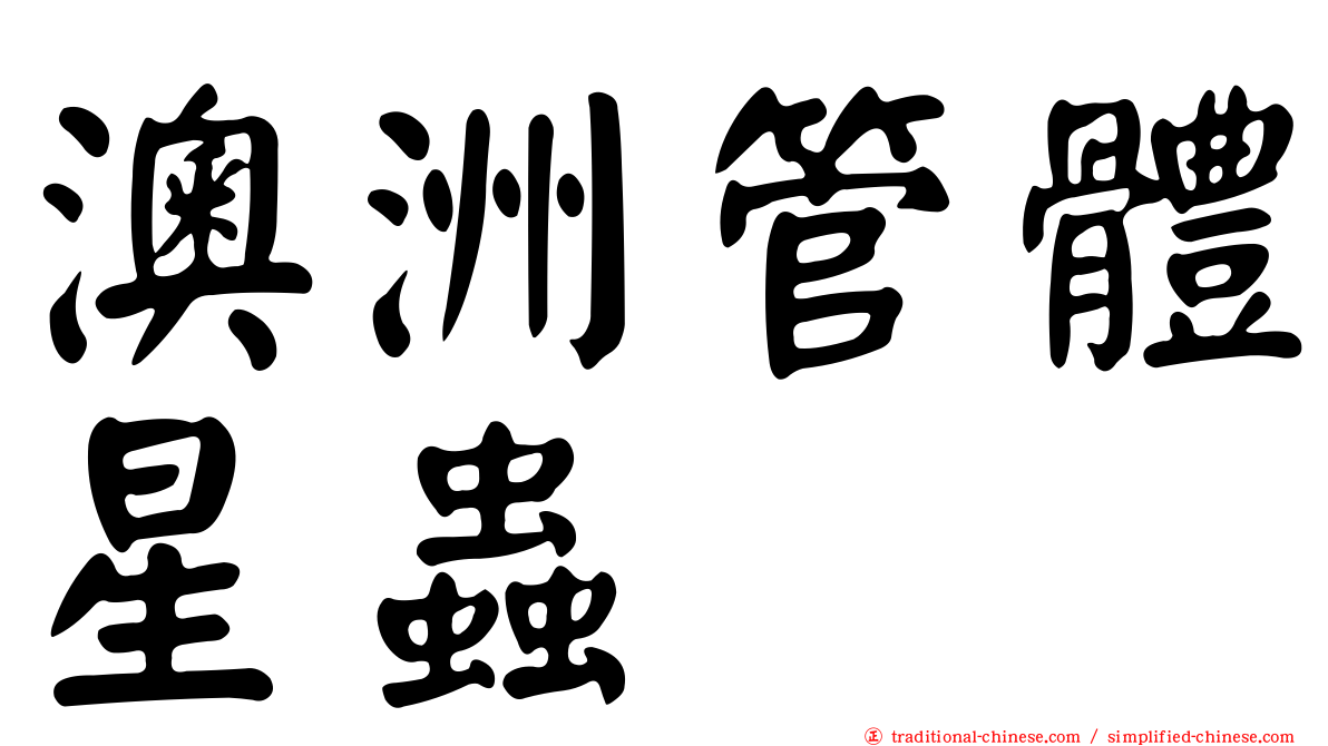澳洲管體星蟲