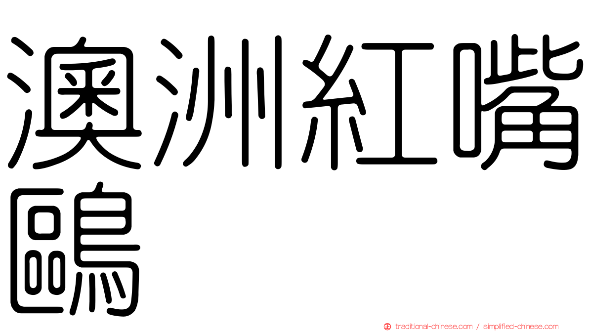 澳洲紅嘴鷗