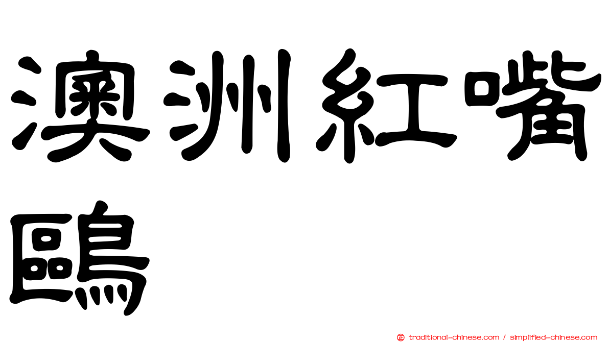 澳洲紅嘴鷗