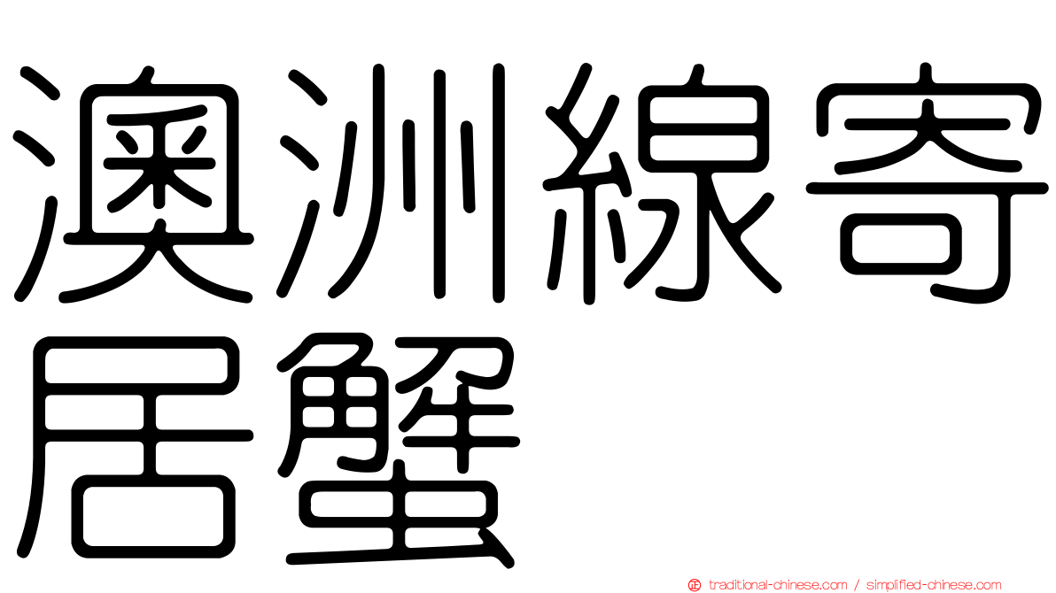 澳洲線寄居蟹