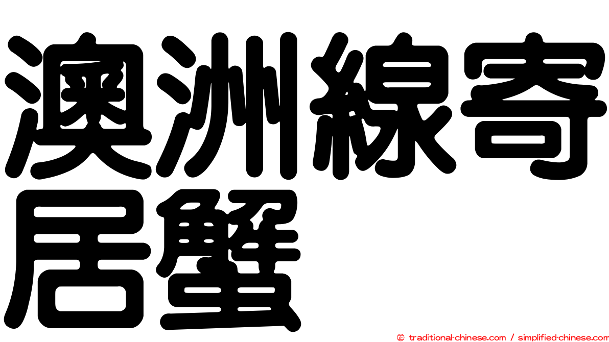 澳洲線寄居蟹