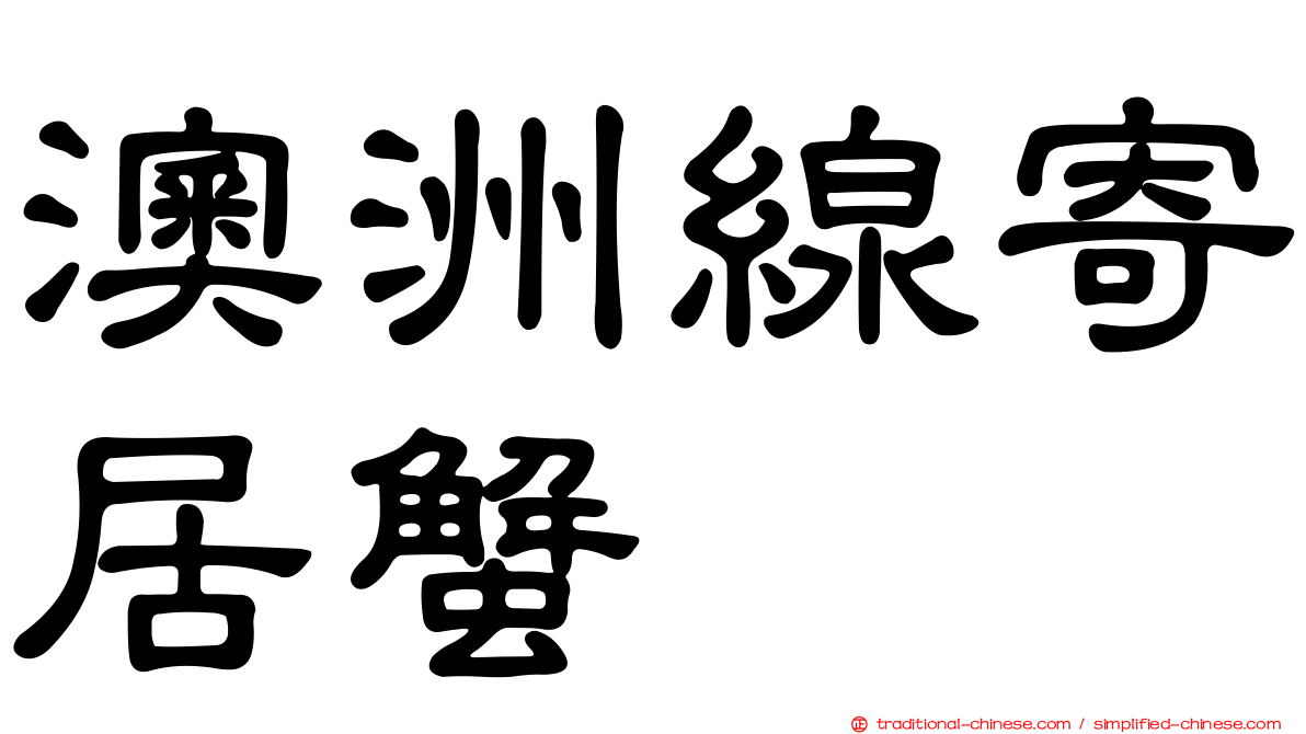 澳洲線寄居蟹