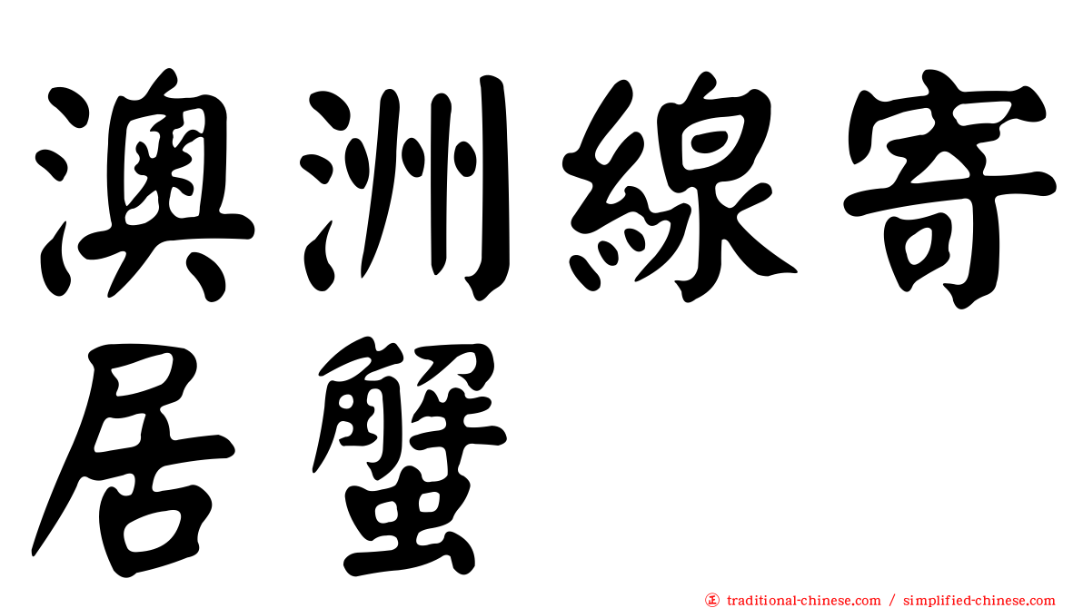 澳洲線寄居蟹
