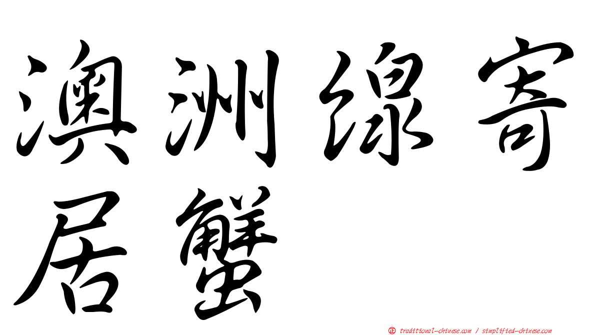 澳洲線寄居蟹