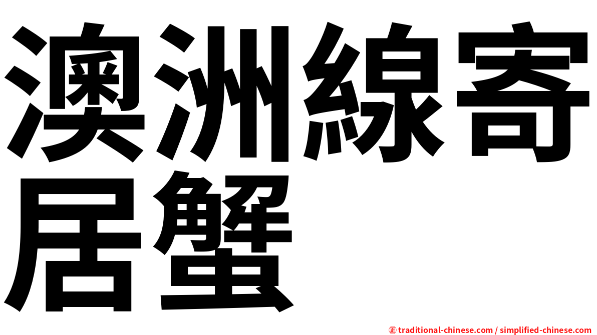 澳洲線寄居蟹