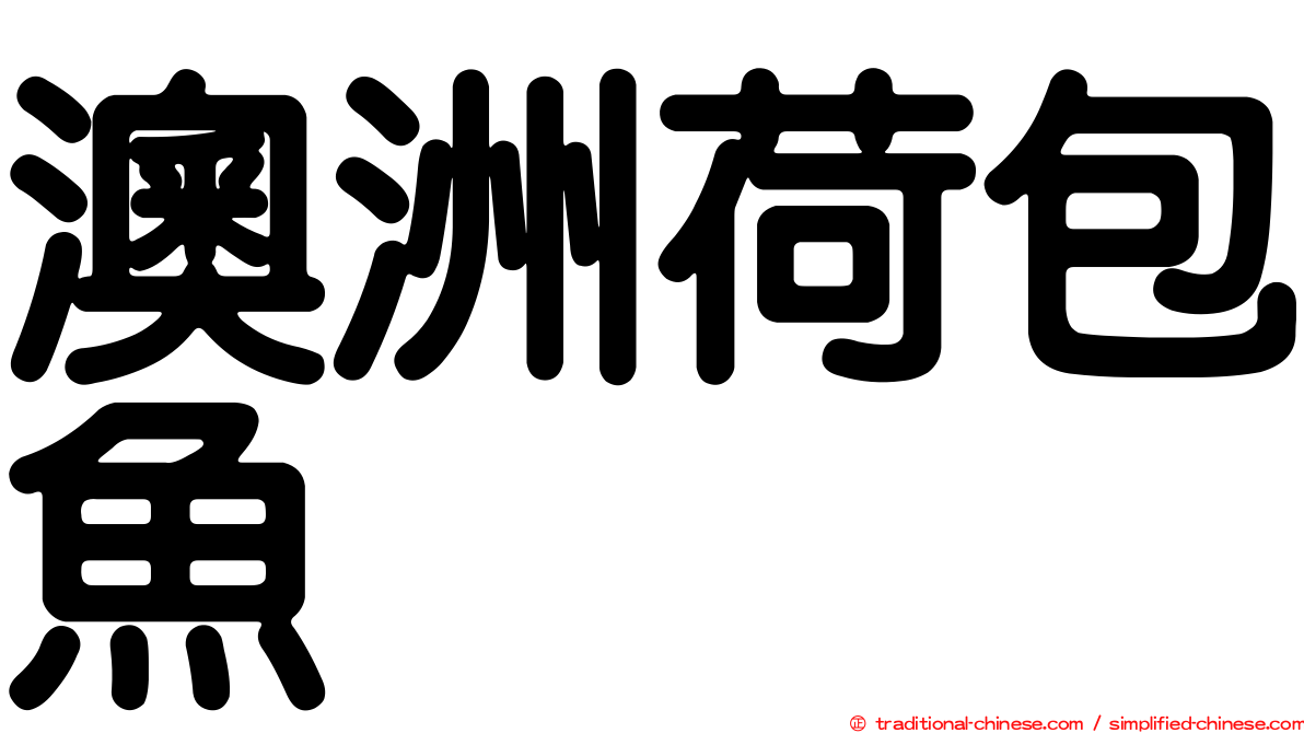 澳洲荷包魚