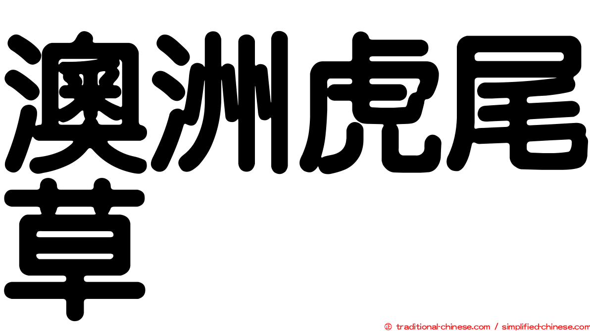 澳洲虎尾草