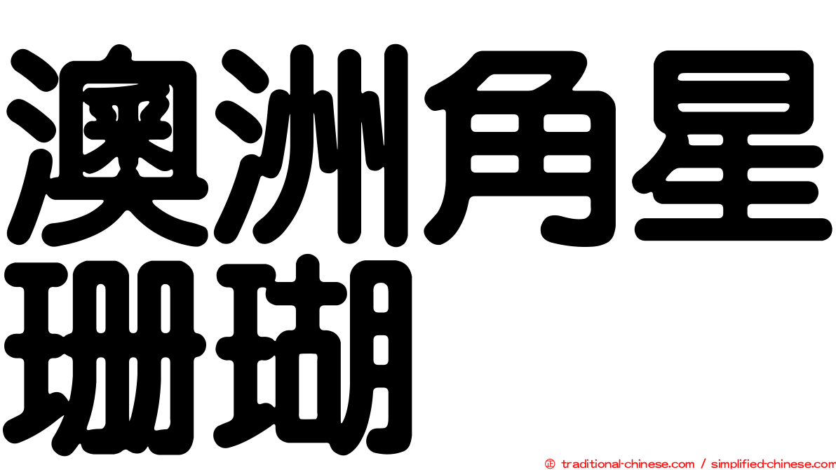 澳洲角星珊瑚