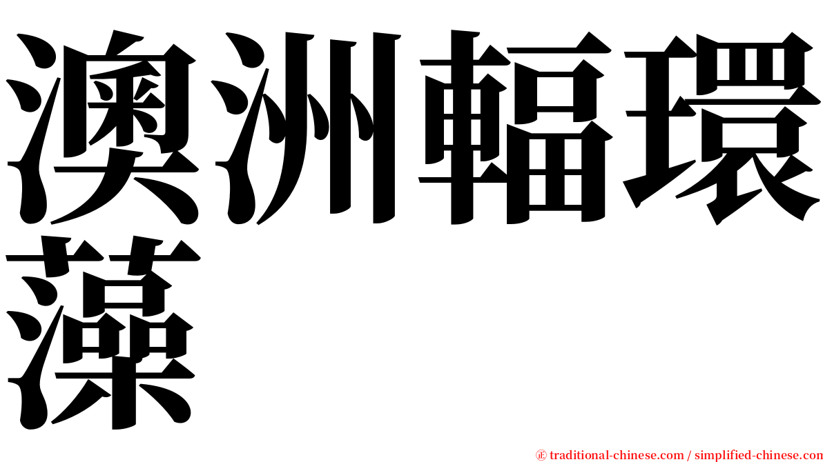 澳洲輻環藻 serif font