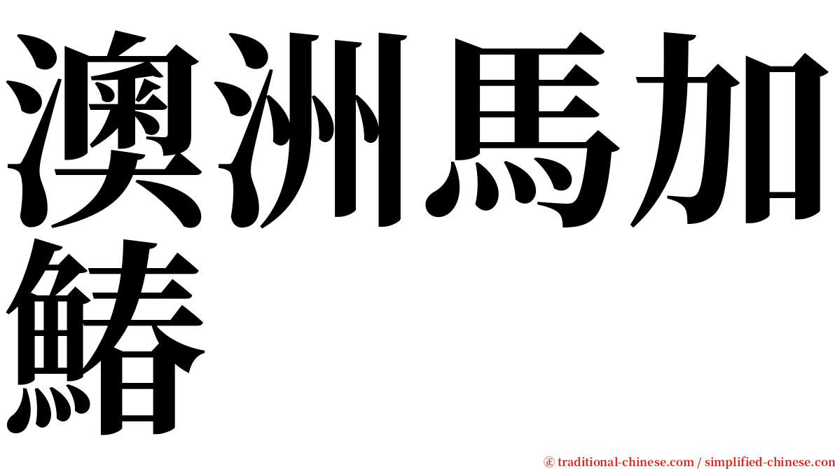 澳洲馬加鰆 serif font