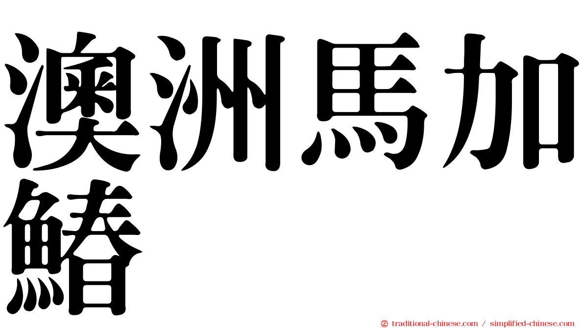 澳洲馬加鰆
