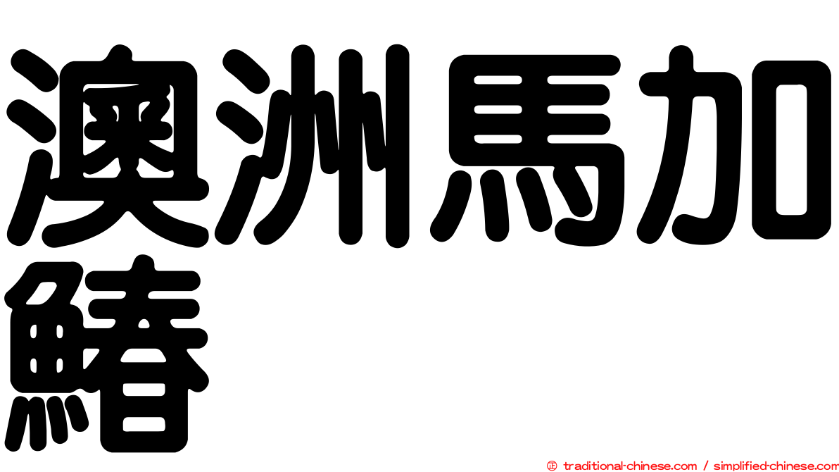澳洲馬加鰆
