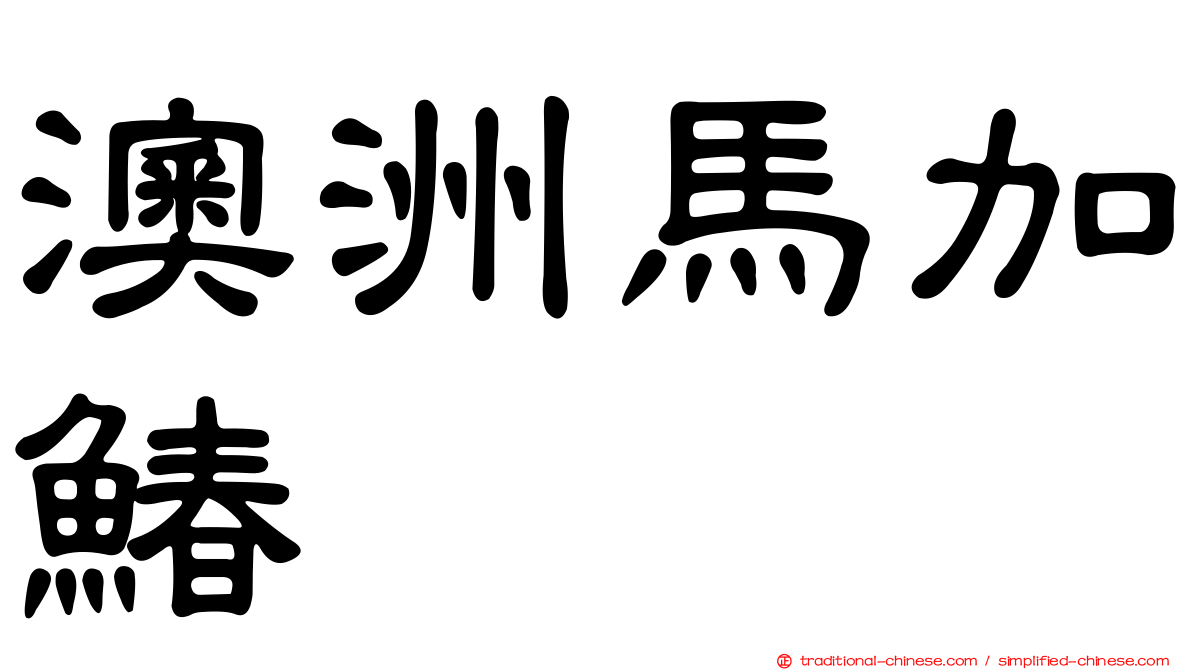 澳洲馬加鰆