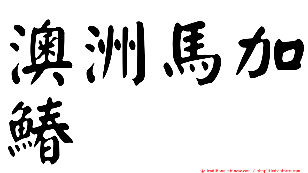 澳洲馬加鰆