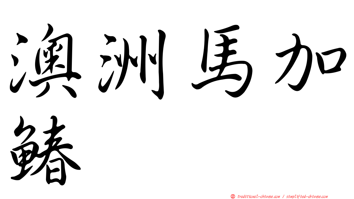 澳洲馬加鰆
