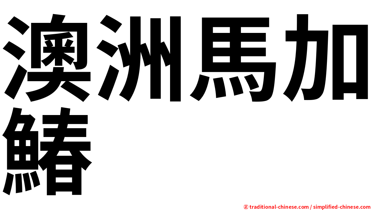 澳洲馬加鰆