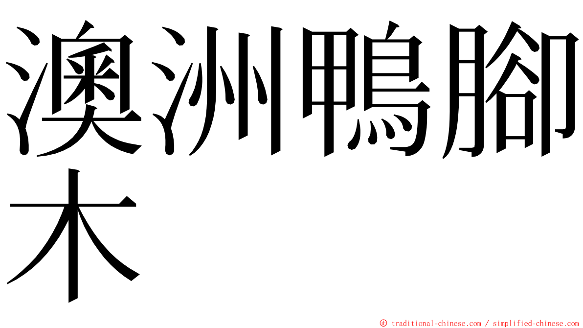 澳洲鴨腳木 ming font