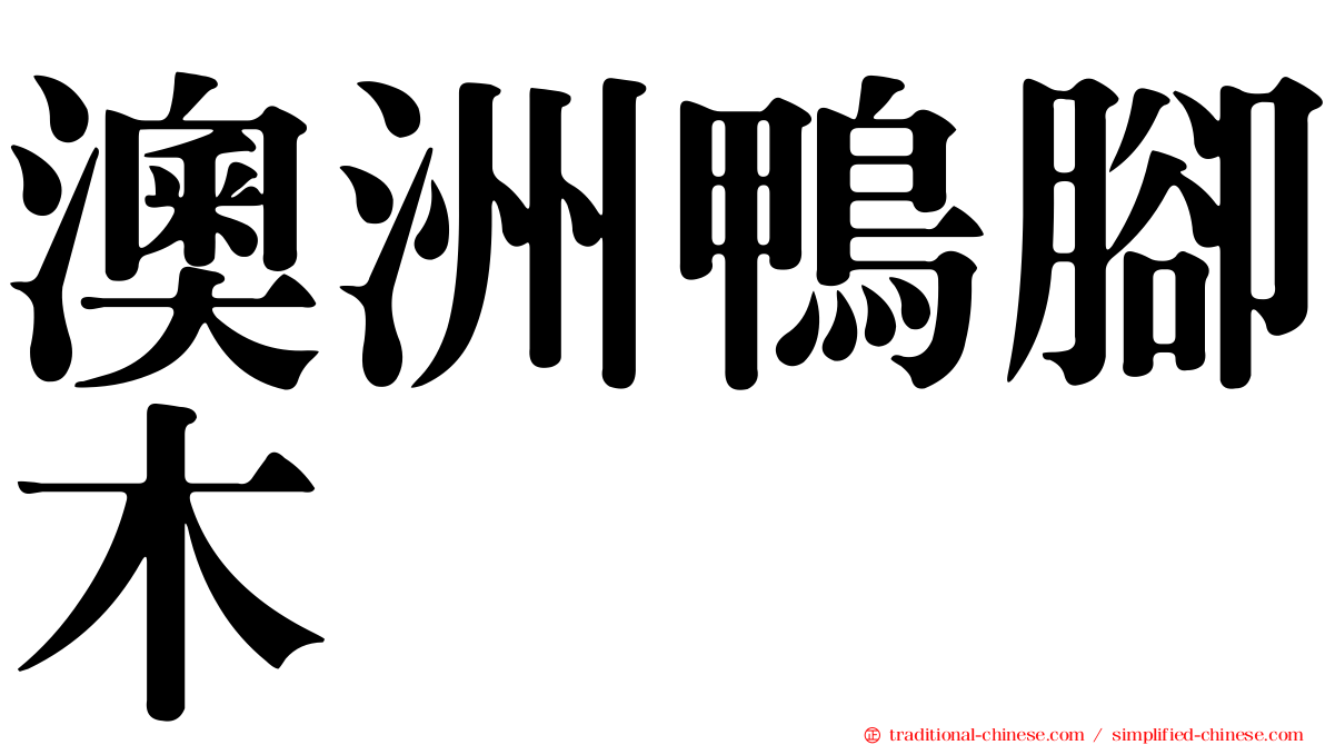 澳洲鴨腳木