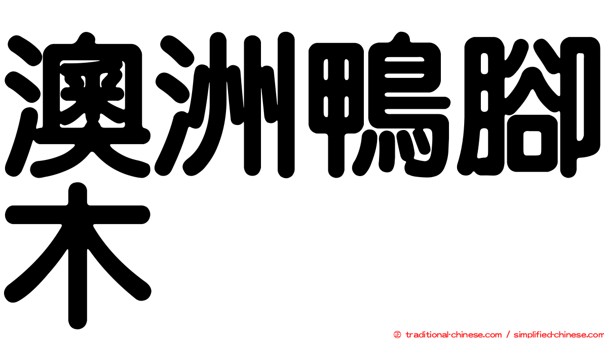 澳洲鴨腳木
