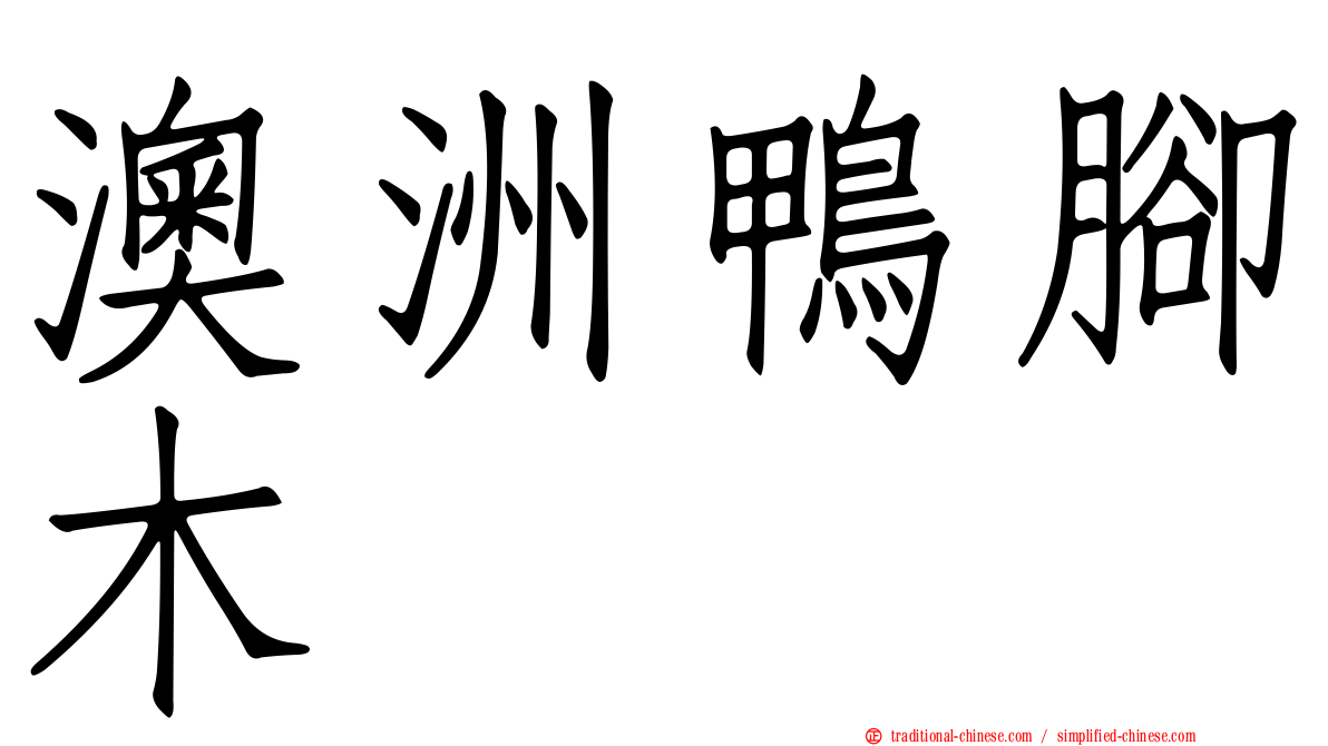 澳洲鴨腳木