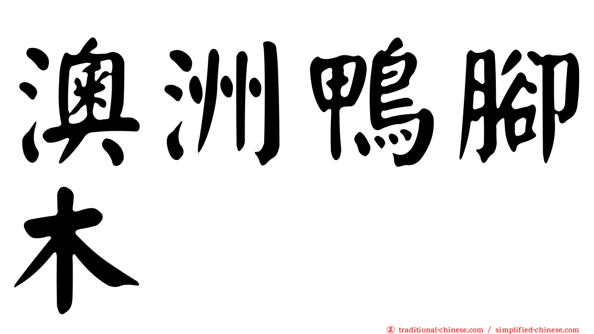 澳洲鴨腳木