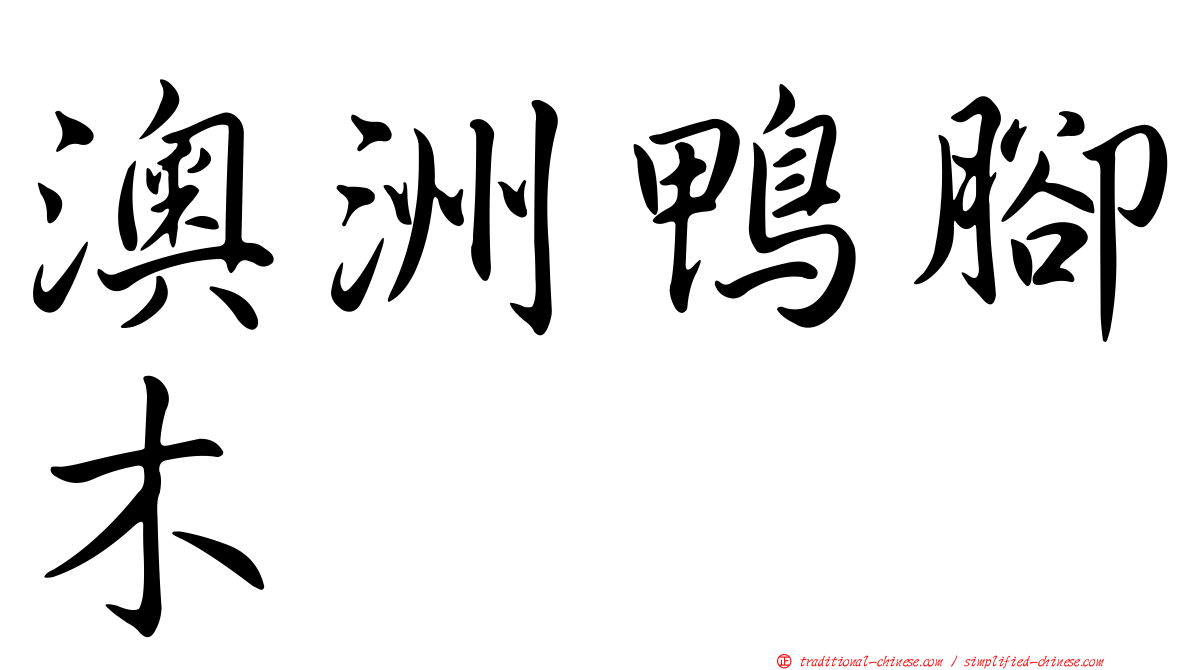 澳洲鴨腳木