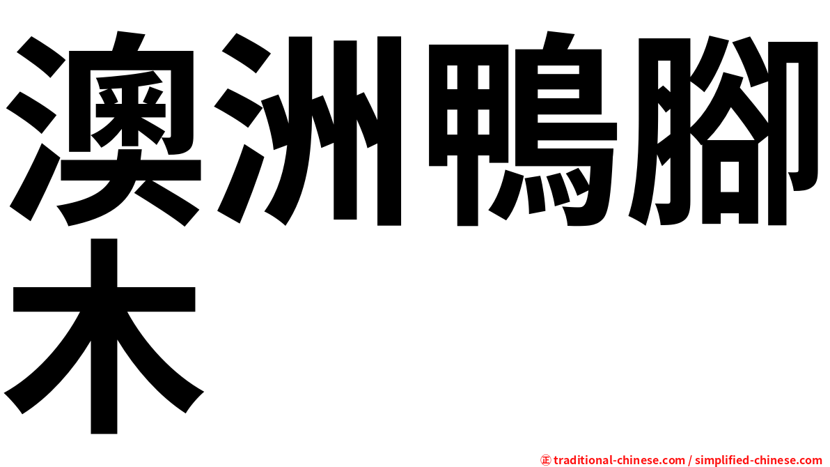 澳洲鴨腳木