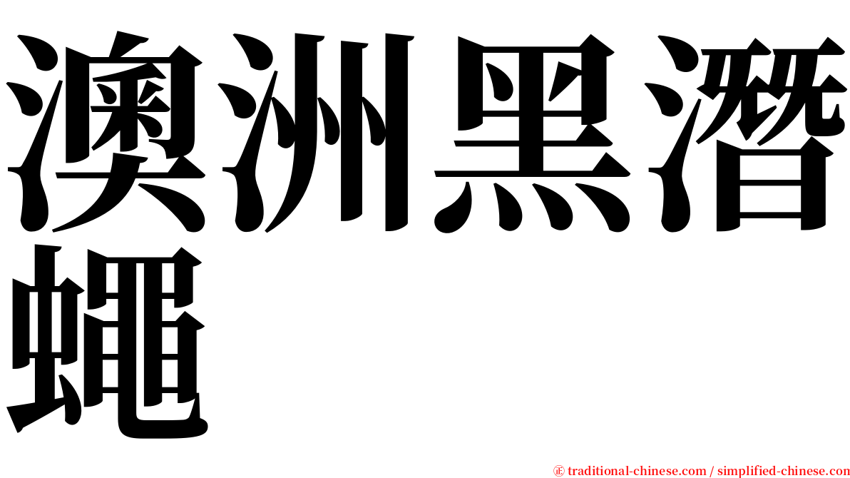 澳洲黑潛蠅 serif font