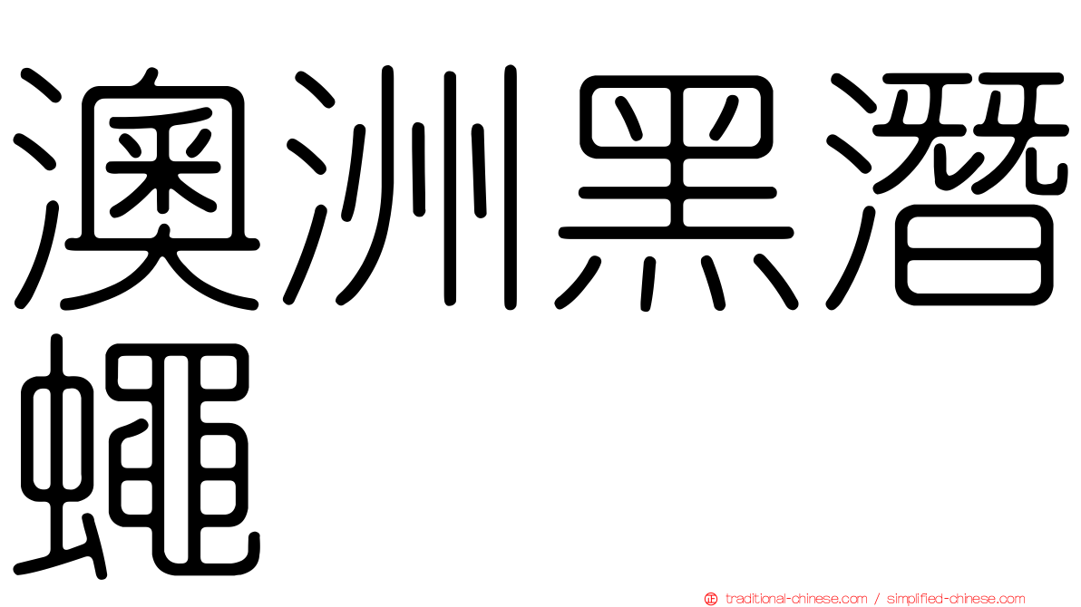 澳洲黑潛蠅
