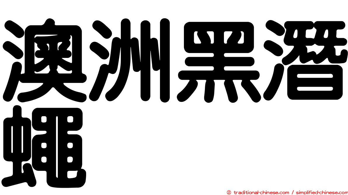 澳洲黑潛蠅