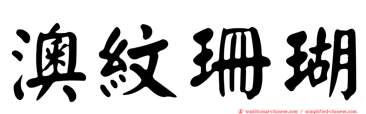 澳紋珊瑚