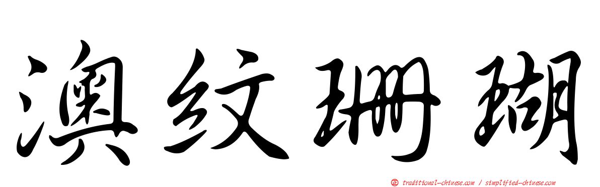 澳紋珊瑚