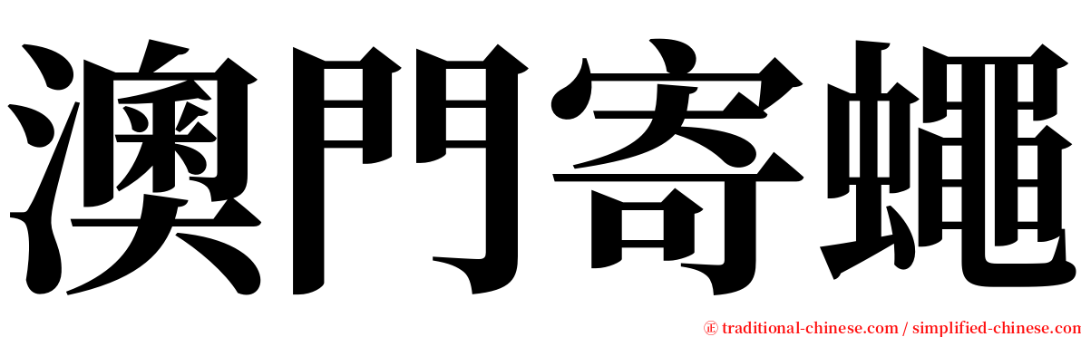 澳門寄蠅 serif font