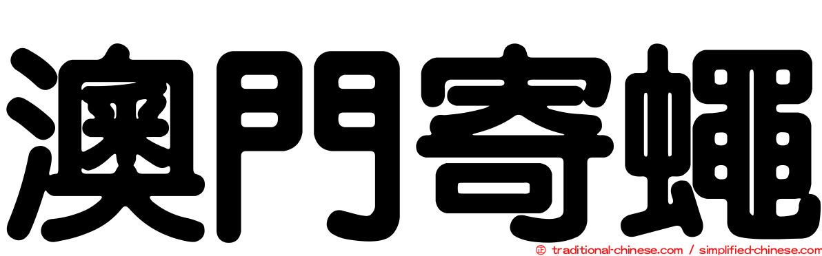 澳門寄蠅