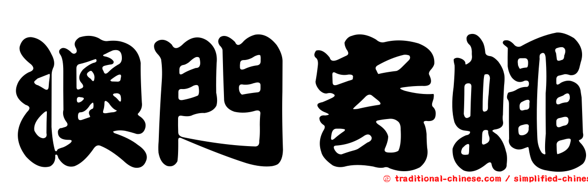 澳門寄蠅