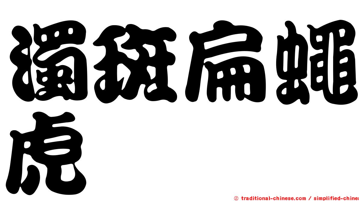 濁斑扁蠅虎