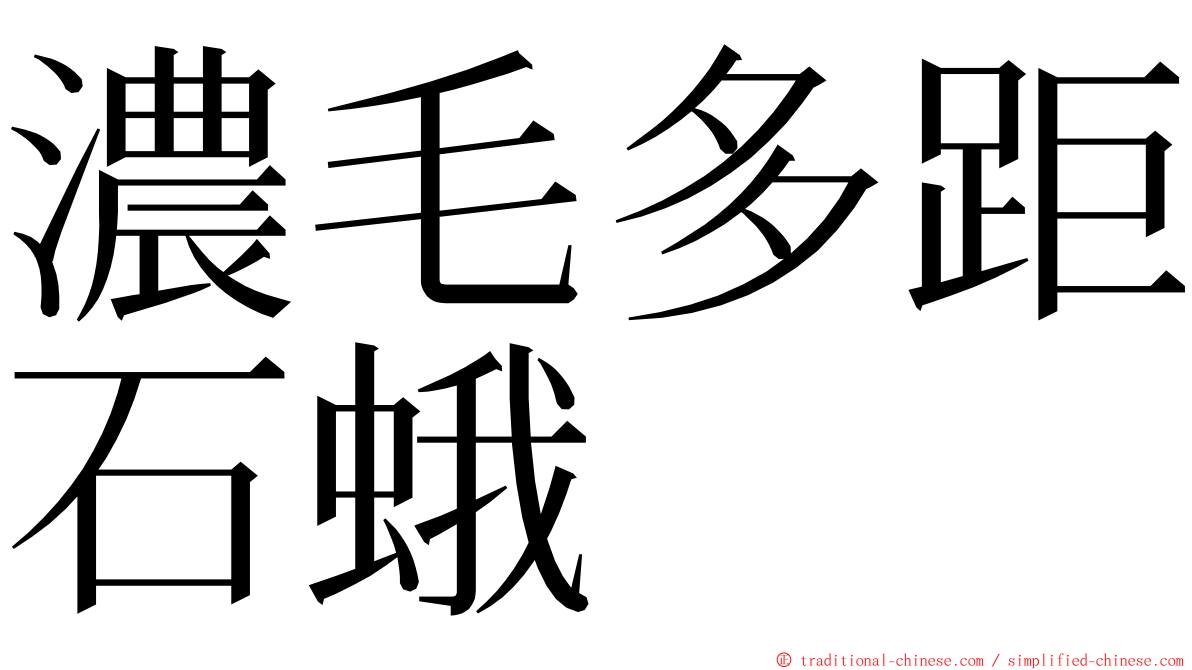 濃毛多距石蛾 ming font